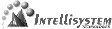 Logo-grigio-Intellisystem